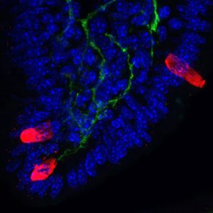 Image post by @neurochirurg_litak on Instagram