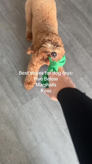 Video post by @tedflixnchill on TikTok