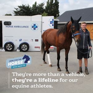 Image post by @nzhorseambulancetrust on Facebook