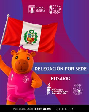 Image post by @copteamperu on Twitter/X