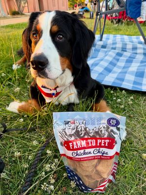 Image post by @farmtopet on Instagram
