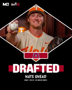 Image post by @milb_central on Instagram