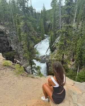 Image post by @thelailafox on Instagram