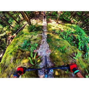 Image post by @whistlerblackcomb on Instagram