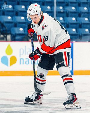 Image post by @ohlicedogs on Instagram