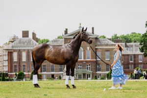 Image post by @godolphin on Instagram