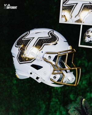 Image post by @usffootball on Instagram