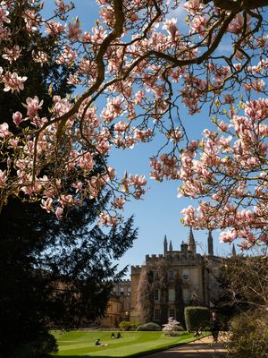 Image post by @oxford_uni on Instagram