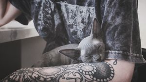 Image post by @mishaperiphery on Instagram