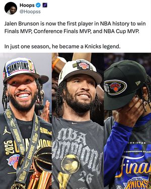 Image post by @houseofhighlights on Instagram