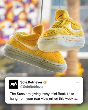 Image post by @soleretriever on Instagram