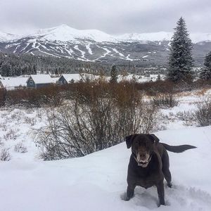 Image post by @breckenridgemtn on Instagram