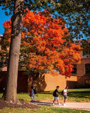 Image post by @montclairstateu on Instagram