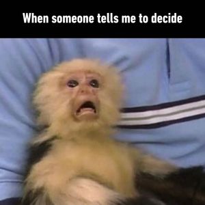 Image post by @9gag on Instagram
