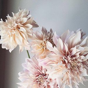 Image post by @robertaborsari on Instagram