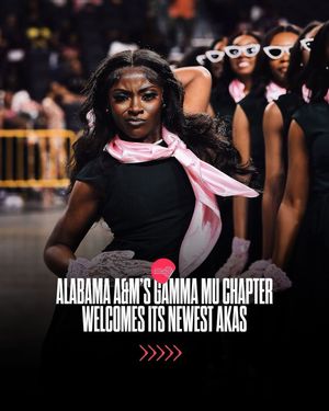 Image post by @hbcubuzz on Instagram