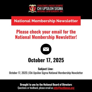 Image post by @chiupsilonsigma on Instagram