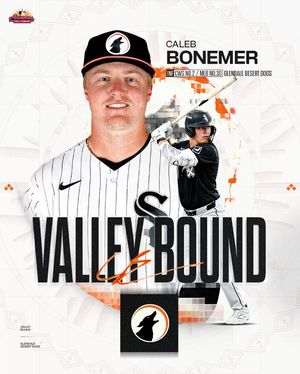 Image post by @mlbazfallleague on Instagram