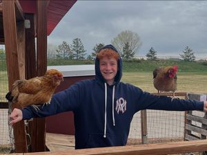 Image post by @denverjewishdayschool on Instagram