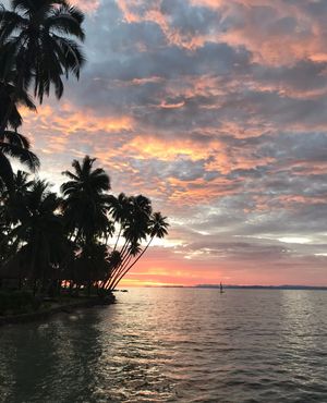 Image post by @celeste.moure on Instagram