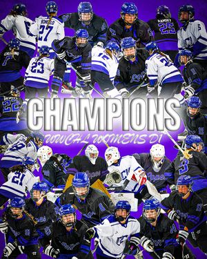 Image post by @lopeswhockey on Instagram