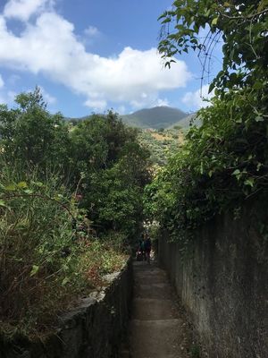 Image post by @putneystudenttravel on Facebook