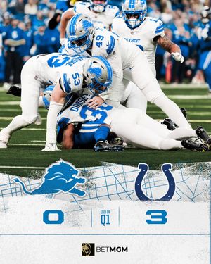 Image post by @Lions on Twitter