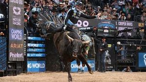 Video post by @pbr on YouTube