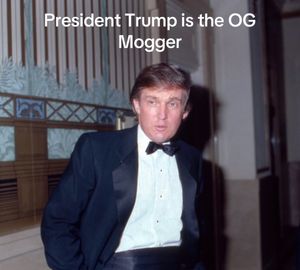 Video post by @teamtrump on TikTok