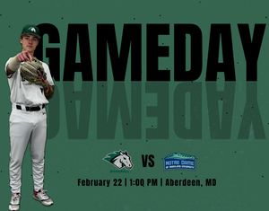 Image post by @stevensonbsb on Instagram