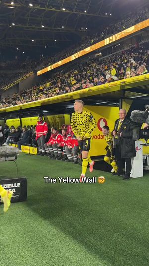 Video post by @bundesliga on TikTok
