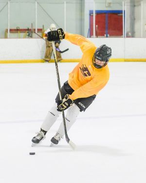 Image post by @cmuhockeyd3 on Instagram