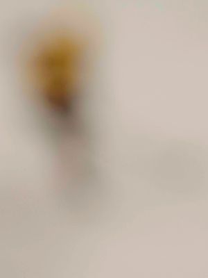 Image post by @gophermhockey on Instagram