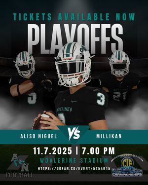 Image post by @aliso_football on Instagram