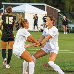 Image post by @gobonnies on Instagram