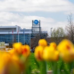 Image post by @niagaracollege on Instagram