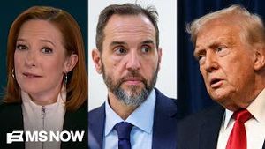 Video post by @msnbc on YouTube