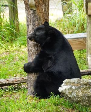Image post by @zootampa on Instagram