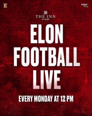 Image post by @elonfb on Instagram