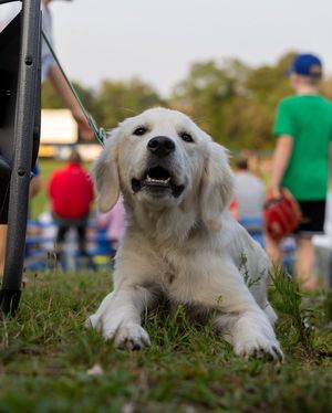 Image post by @harborhawks on Instagram