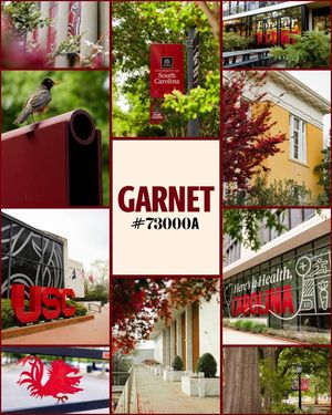Image post by @uofscstudents on Instagram