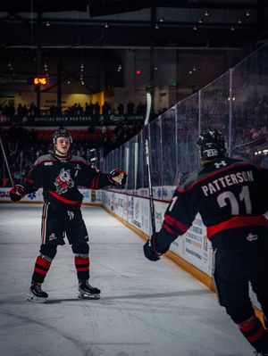 Image post by @ohlicedogs on Instagram