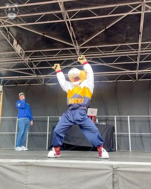 Image post by @thesupermascot on Instagram