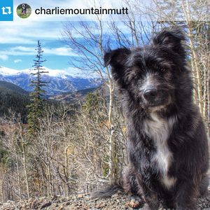 Image post by @breckenridgemtn on Instagram