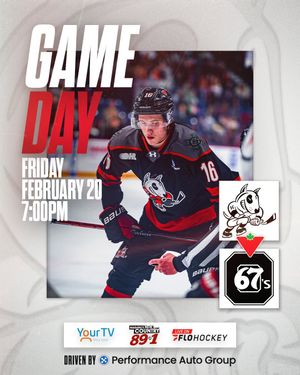 Image post by @ohlicedogs on Instagram