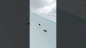 Video post by @thesnowleague on YouTube