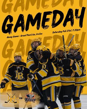 Image post by @lbsuhockey on Instagram