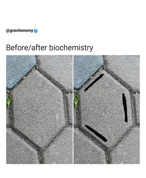 Image post by @gravitonomy on Instagram