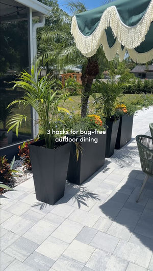 Video post by @wayfair on TikTok