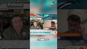 Video post by @dolphinstalk on YouTube